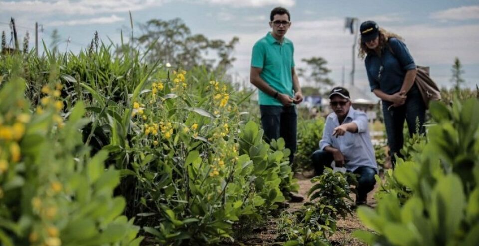 Produtor rural tem até o dia 30 deste mês para declarar o Imposto sobre a Propriedade