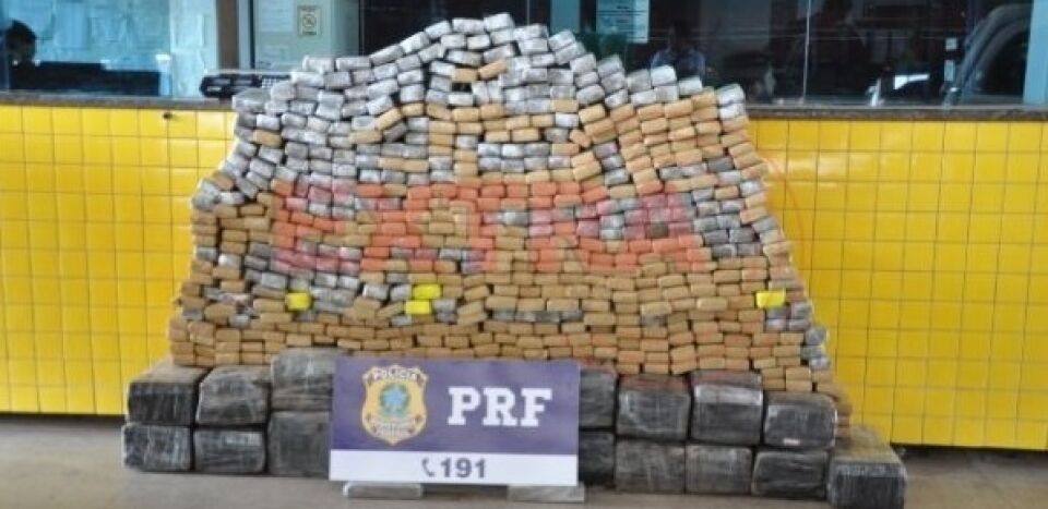 Polícias fazem a maior apreensão de maconha do ano em Rondônia