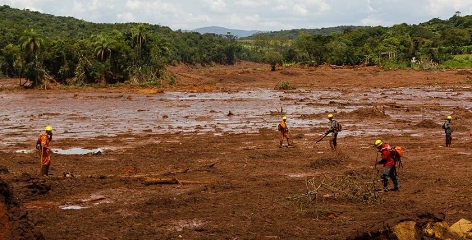 CMA analisa projeto que endurece penas para crimes ambientais