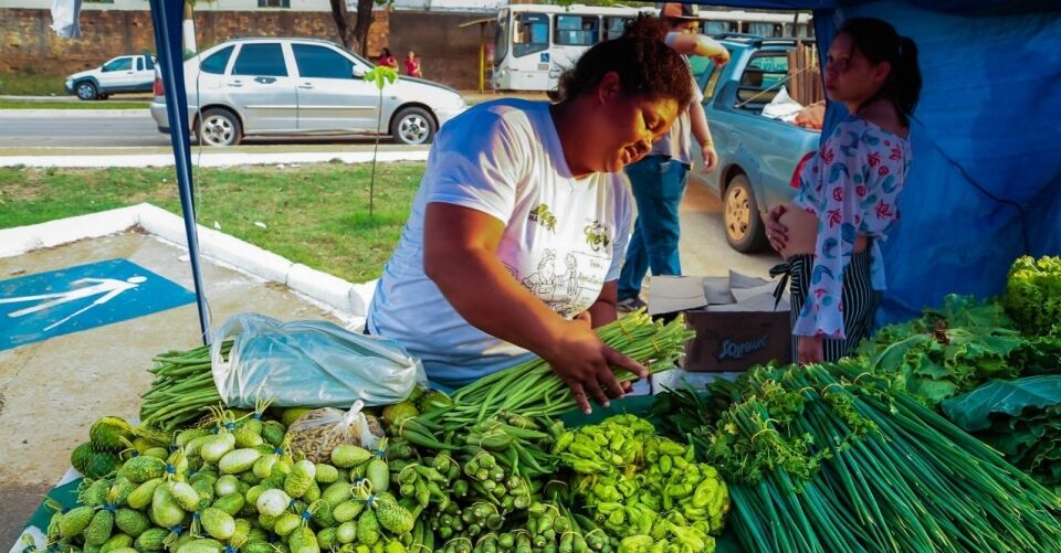 Agricultores vendem produtos direto ao consumidor em feira organizada pela Emater