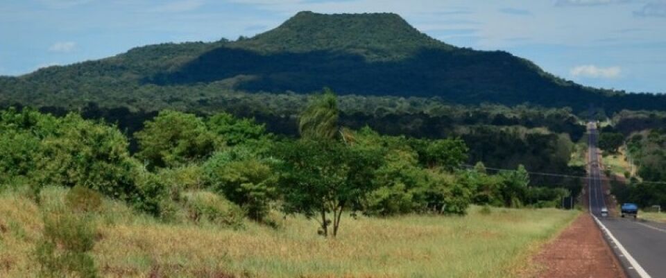 Florestas e Grilagem