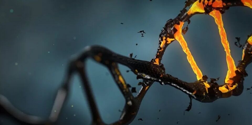 Cientistas da Fiocruz fazem evento gratuito sobre genética em Porto Velho