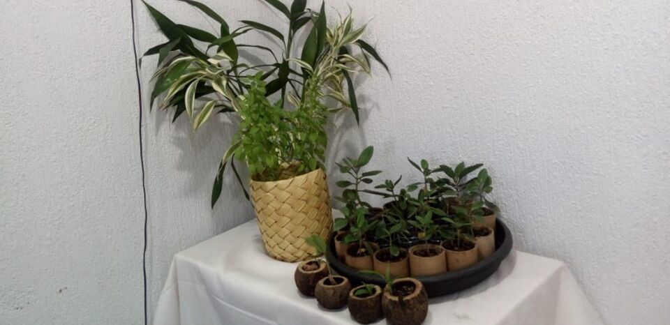 Salão em Porto Velho inova realizando doações de ervas medicinais aos clientes