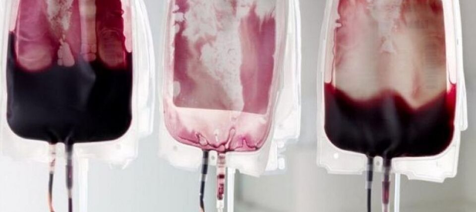 Pesquisadores desenvolvem sangue artificial capaz de ser doador universal