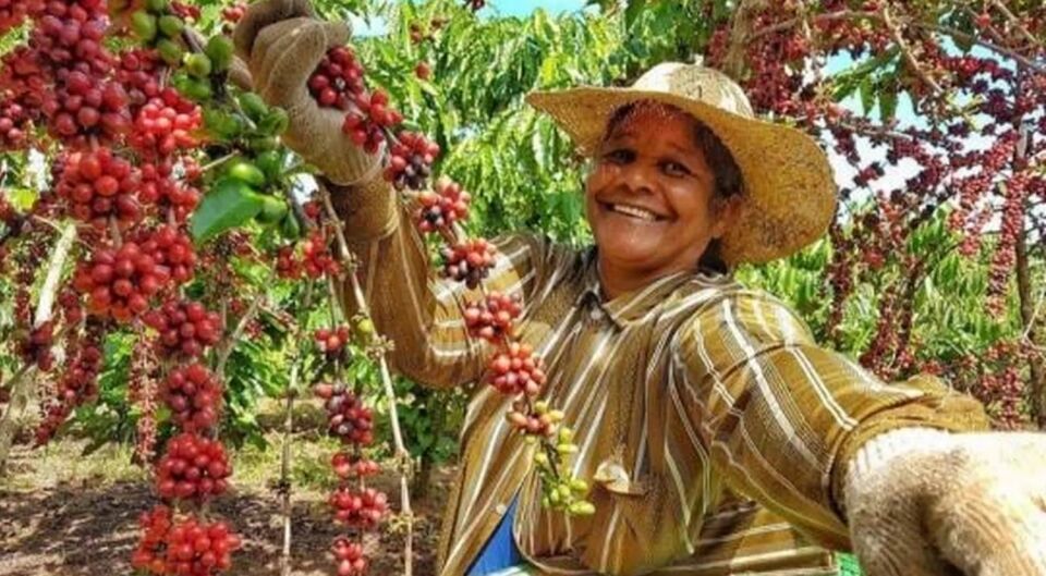 Mulher Rural: 'Minhas mãos são calejadas, mas tenho orgulho delas', diz dona Lena