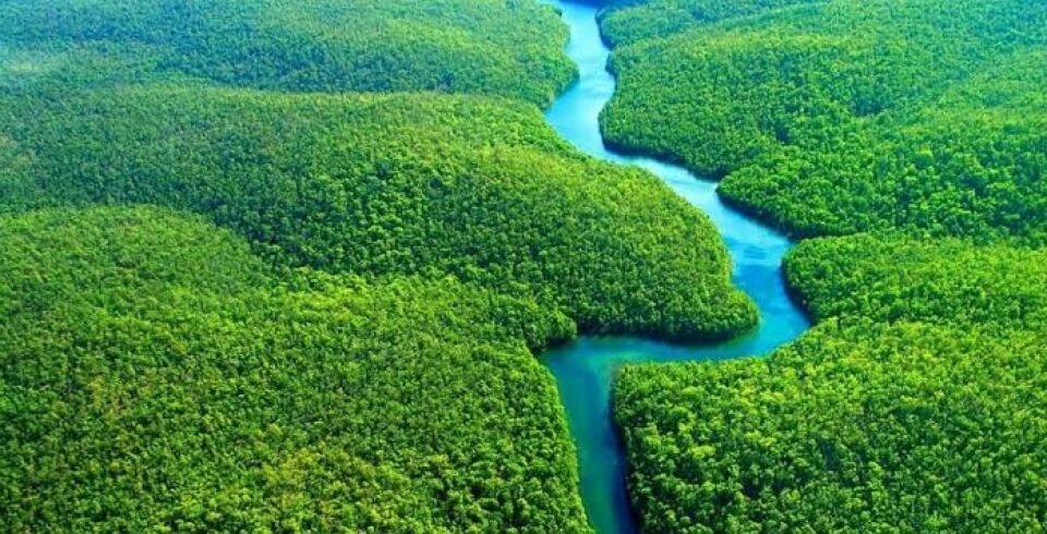 Seminário do REDD+ Rondônia discute Governança Climática em Porto Velho