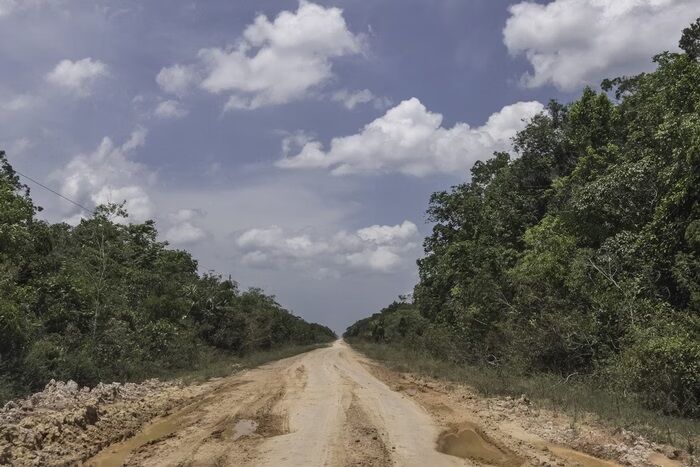 DESPREZO AOS AMAZÔNIDAS - PSDB aciona STF por conclusão da BR-319 de RO ao AM