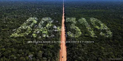 BR-319 um dilema sobre a estrada que corta a floresta