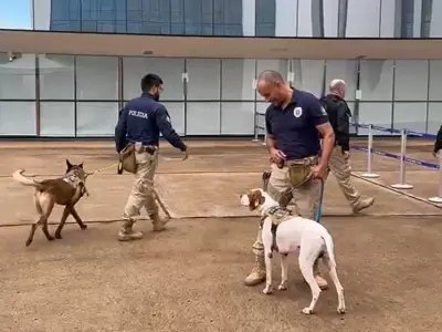 Polícia Judiciária faz varredura com cães na entrada do STF no dia do início do julgamento da suposta “trama golpista”