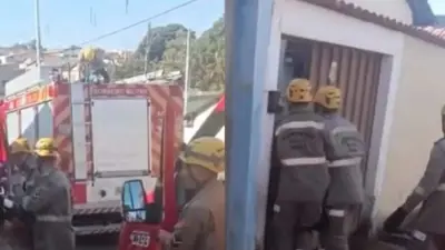 Idosa morre após ser atacada por pitbull em Goiás