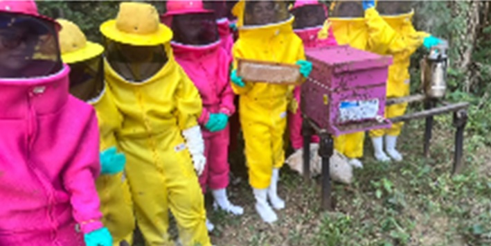 Visita técnica aproxima acadêmicos da prática da apicultura e meliponicultura em propriedades rurais