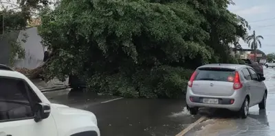 TEMPESTADE VIOLENTA - Vendaval arranca telhados e árvore esmaga Corolla zero km durante forte temporal em Ji-Paraná

